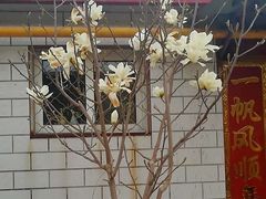 -美玲拉面(鞍山西道店)