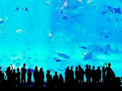 -石家庄海洋公园
