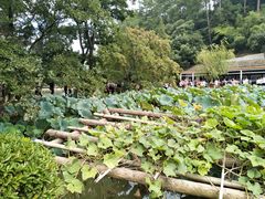 -韶山毛泽东同志故居