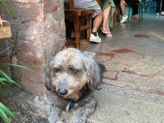 -老宅原住民沙茶面精品小吃(龙头路店)