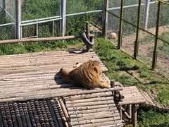 -青藏高原野生动物园