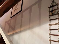 -铭洋专业采耳(田子坊店)