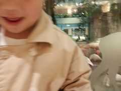 -白虎自助餐厅·真老虎·景观自助餐厅(广州长隆酒店)
