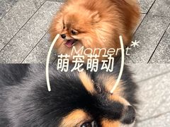 -龙湖重庆时代天街