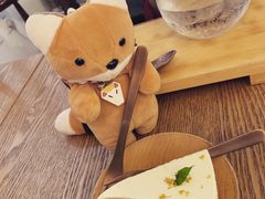 -唐咖精品咖啡(大理古城手冲店)