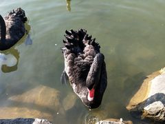 -上海怡沁园度假酒店