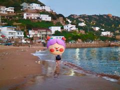 -枸杞岛