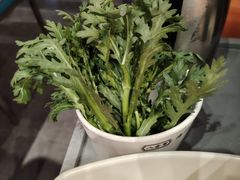 -八合里潮汕鲜牛肉火锅(吉大店)