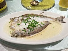 虾贝鸡油蒸金龙斑-苔圣园酒家(尊木汇国际艺术广场店)