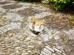 -重元寺香积厨素斋馆