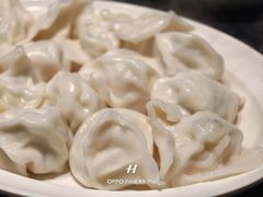 -李记饺子·熏酱东北菜(欢乐谷店)