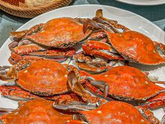 -珊海荟海鲜楼·天津菜·海肠捞饭·皮皮虾锅贴王(佛罗伦萨店)
