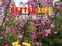 -新江湾城公园