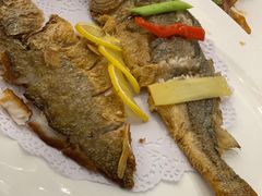 -骏莱海鲜鱼港(五角场店)