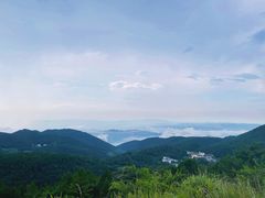 -武陵山森林公园
