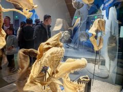-抱抱地球咖啡馆(国家海洋博物馆店)
