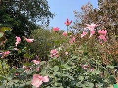 -人民公园(罗湖区)