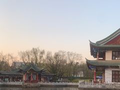 -MAP CHA普洱茶馆(翠湖店)