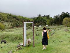 -硗碛藏寨·神木垒景区