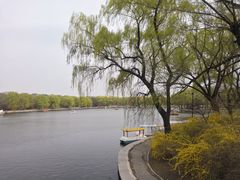 -北陵公园