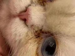 -comecome来吧宠物(奥克斯中心店)