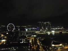 -新加坡瑞士史丹福酒店