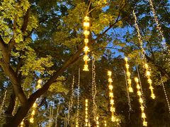 -合和大唐足道·泰式·SPA (凤城五路店)