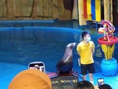 -烟台海昌鲸鲨海洋公园