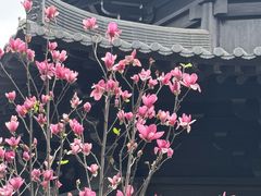 -荔湾湖公园