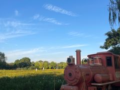 -祥源·阜阳生态乐园