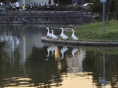-安徽大学(磬苑校区)