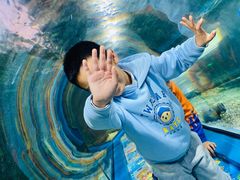 -福州罗源湾海洋世界旅游区