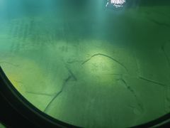 -白鹤梁水下博物馆