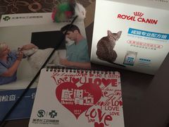-瑞派长江宠物医院·猫科·外科·24小时夜护(谊城公寓分院)