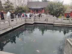 -百脉泉景区
