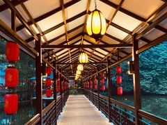 -侨美·唐荔园·40年地道粤菜