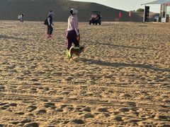 -银肯塔拉沙漠生态旅游景区