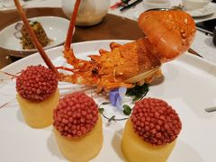 -红棉中餐厅·广州海航威斯汀酒店