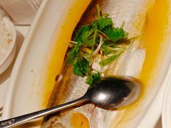 -羲和雅苑•北京烤鸭(陆家嘴中心店)