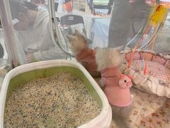 -万达广场(大明宫店)