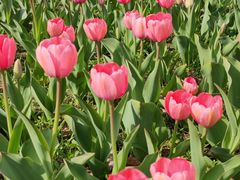 -长春公园(普阳街道)