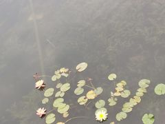 -牛岗山公园
