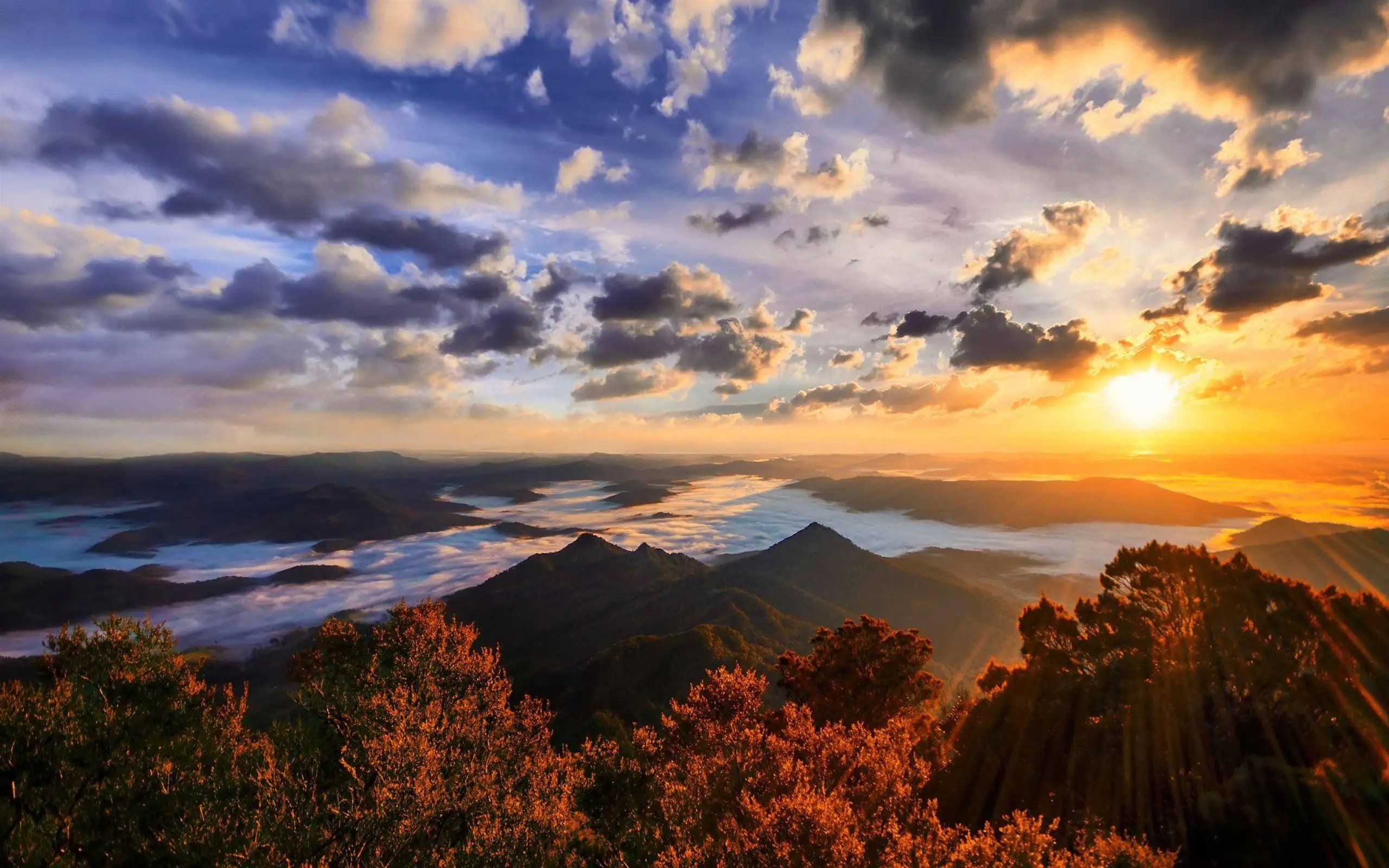 天天领红包大美江河湖海,中国的风景随便