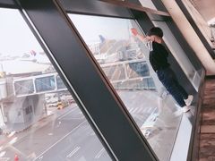 -新加坡航空公司(ION)