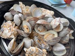 -巧克力渔家.小船海鲜胶东菜(万平口店)