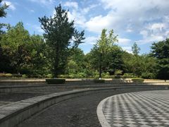 -重庆彩云湖湿地公园
