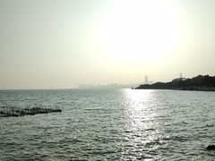 -深圳湾公园(南山区)