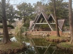 -上海滨江森林公园
