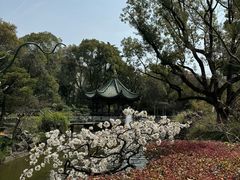 -申粤轩酒楼·三十年粤菜经典(丁香花园店)