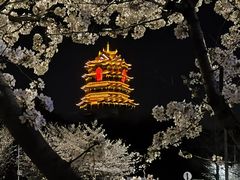-江阴君山寺
